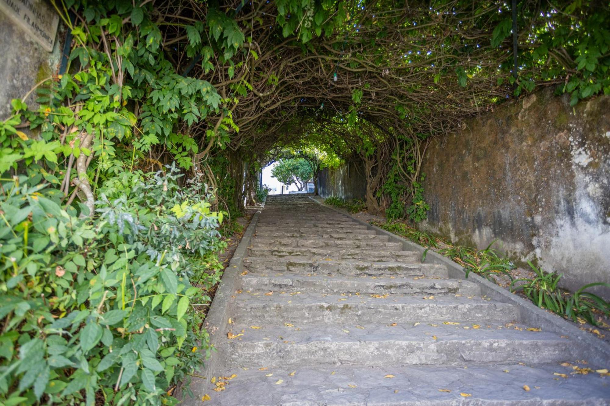 Pousada De Ourem - Fatima Exterior photo